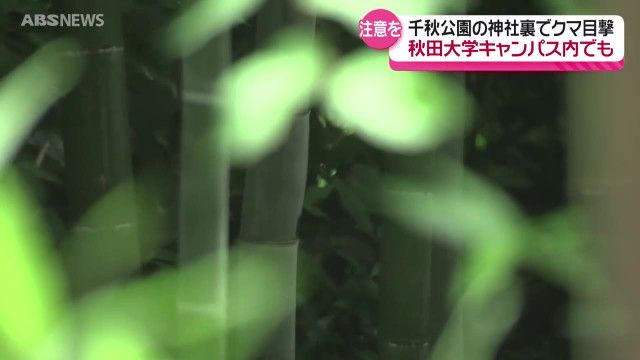 連日相次ぐクマの目撃　秋田市中心部の千秋公園や秋田大学でも　最高レベルの注意と対策の徹底を呼びかけ　秋田県