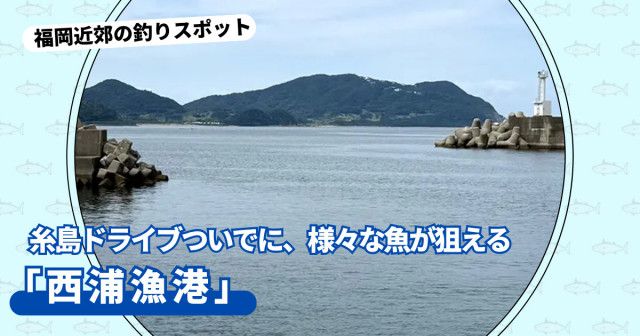 糸島ドライブついでに、様々な魚が狙える人気ポイント「西浦漁港」【福岡市西区】