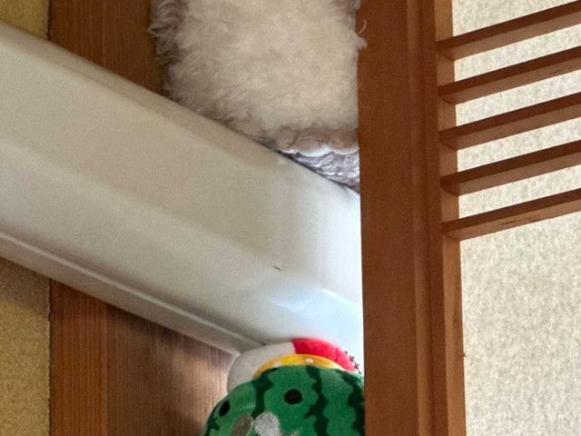 「これ合ってる？」　エアコンの『配管の隙間』を埋めたのは…「大正解」「コーヒー吹いた」