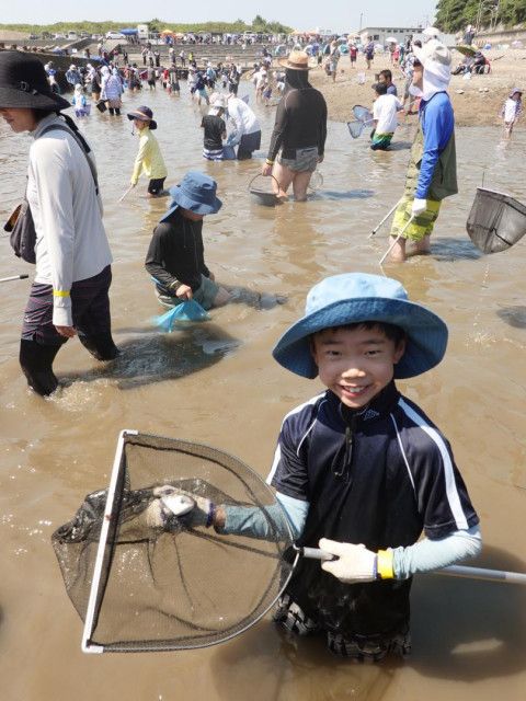 姥の懐マリンプール 小学生など生き物調査 茨城・ひたちなか