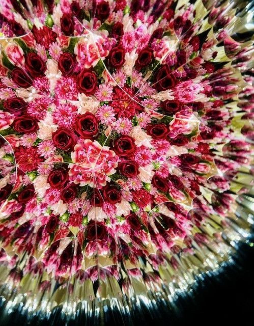 本物の生花を使った万華鏡　広がる幻想的な世界「没入感を味わって」　フランスでも高評価