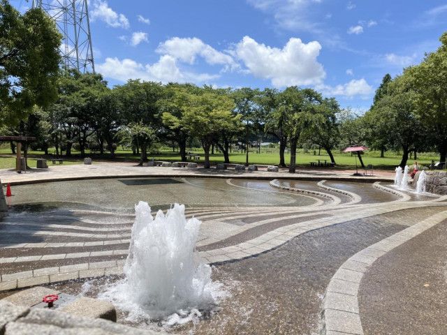 北柏ふるさと公園の「じゃぶじゃぶ池」が1日限りの夜間開放