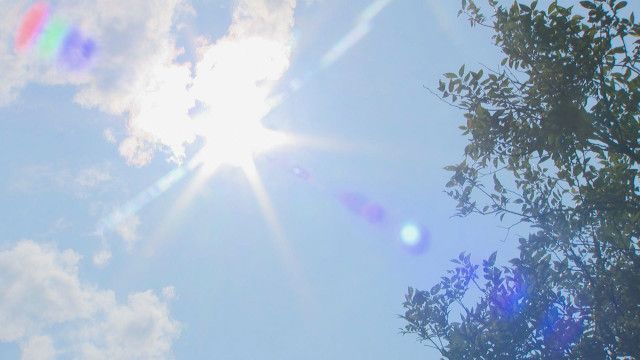 島原市80代女性「熱中症の疑いで死亡」搬送時の体温41.6℃に　中学生も体育の授業中に病院搬送《長崎》