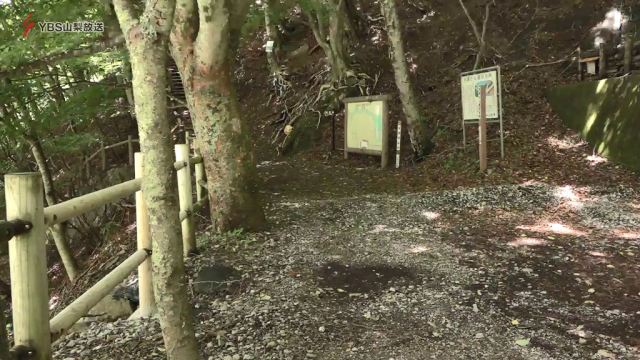 登山中の男性に落雷…背中に火傷　九死に一生　山梨