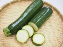じつは避けたほうがいいかも？野菜のプロが教えるズッキーニの「もったいない」食べかた