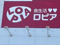 【ロピア】この夏、常備必至！オリジナルアイス「恋シャリ」シリーズが毎日食べたいおいしさ