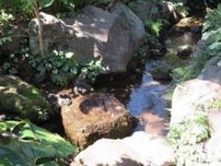 この夏は蚊を家に持ち込まない！刺されない！注意したい場所と時間帯