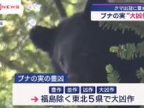 今秋のブナ大凶作か　クマに出没警戒を　　　／秋田