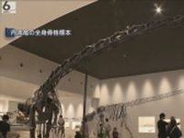 丹波竜の骨格標本を至近距離で！　リニューアルした「たんば恐竜博物館」　展示の数が倍に　施設面積も大幅拡張