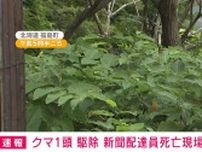 北海道福島町でクマ1頭駆除 新聞配達員の男性死亡現場近く