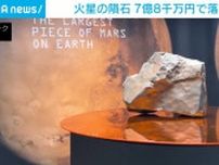 火星の隕石が約7億8000万円で落札  重さ24.6kgで地球上最大サイズ