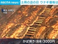土用の丑の日 ウナギ価格は据え置き傾向