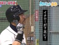 「イチロー？こないだ下北の焼肉屋さんでみたよ。お店に立ってたよ」あのちゃん、物まね芸人のプライベートを暴露
