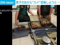 菓子の缶から“カメ” タイから密輸しようと…日本人の男逮捕 バンコク近郊
