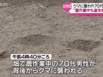 突然背後から…農作業中の男性がクマに襲われけが　クマによるけがは今年3人目　農作業中もラジオを鳴らす等の対策を　秋田・北秋田市