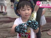7月21日は海の日　子どもたちが”地引網漁”を体験　海の魅力を体感し命の大切さを学ぶ　秋田・男鹿市