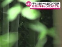 連日相次ぐクマの目撃　秋田市中心部の千秋公園や秋田大学でも　最高レベルの注意と対策の徹底を呼びかけ　秋田県