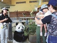 パンダに「また会いたい」　七夕で願い込める、白浜アドベンチャーワールド、和歌山