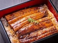 最近よく耳にする「メスうなぎ」って何ですか？ オスうなぎと味や食感はどう違う？【専門家が解説】