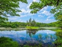 66歳男性・人生最高のシニア旅「7月の知床で2泊、阿寒湖とサロマ湖で1泊ずつ」費用は総額40万円