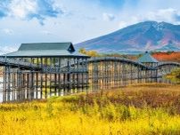ナンバープレートで地元愛を感じる青森県の地名ランキング！ 2位「青森」と僅差の1位は？