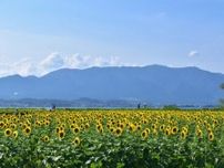滋賀県民が選んだ「住みここち（自治体）」ランキング！ 2位「守山市」、1位は？【2025年調査】