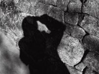 東京・渋谷の公共トイレを舞台にした、写真家・森山大道の作品を展示するアートプロジェクト「THE TOKYO TOILET / SHIBUYA」が7月19日から開催。