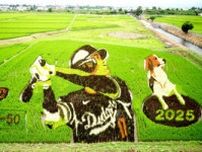 豪快スイングに愛犬デコピンも　大谷翔平選手の出身地で田んぼアート