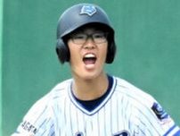タイパ、コスパじゃなく「量」で結実の安打　創学館の大宮和翔選手