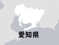 愛知県常滑市のビーチで水難事故　小学校低学年とみられる男児が死亡