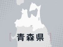 「小学生の孫を助けに」74歳男性がおぼれて死亡　孫は無事　青森