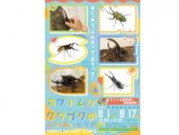 夏休みは東京・浅草橋の「カブトムシ・クワガタのふれあい世界展」と「まるっと小動物展」へ