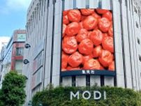 「男梅」5種食べ比べや「男梅サワー」の無料サンプリングも！全国7都市で「男梅全国布教行脚」を実施《7月19日から》