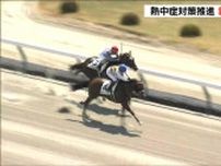 夏の新潟競馬スタート　熱中症対策強化し「競走時間帯の拡大」4週間に