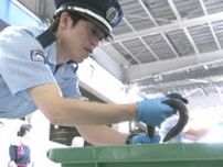 土用の丑の日を前にうなぎの輸入が佳境　成田空港にも中国などから続々と到着