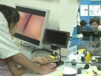 夏休みの自由研究のヒントに！「科学の見方」を学べる特別展開催中　千葉市科学館
