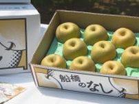 シャキシャキとした食感と甘い果汁たっぷり　千葉県船橋市産の梨「幸水」初出荷