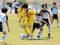 サッカー豊田陽平杯　８県児童が熱戦