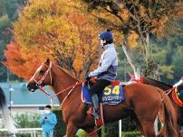シンエンペラーが今年も凱旋門賞に挑戦へ…藤田晋オーナーはリベンジに意欲、昨年2着のジャパンCも視野に