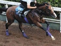 【小倉記念・傾向と対策】勝率・連対率・複勝率とも優秀な４歳馬…今年はメリオーレム、ナムラエイハブなど警戒