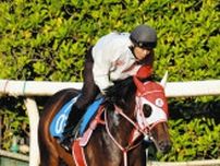 【東海S展望】ダート転向で4連勝中のビダーヤが重賞初挑戦でVへ　立て直し図るヤマニンウルス、相性抜群の中京ダートでサンライズホークも争覇圏
