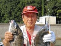 納得の丸貝釣法　クロダイ４１〜４７センチ３匹だ　三重県志摩市・賢島イカダ