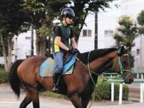 【東海S・傾向と対策】ロードカナロア産駒が最多7勝、複勝率も優秀　中京ダート1400特別戦に強い松山に注意