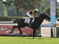 【新潟競馬】2RでJRA史上最低配当となる馬単130円