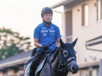 【アイビスSD展望】韋駄天S勝ち馬テイエムスパーダが主役　海外帰りも重賞2Vの実績でピューロマジック逆転十分