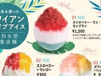 二子玉川の夏限定♡かき氷×あまおうの新感覚モンブラン