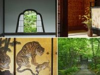 京都の夏を楽しむ♪ 目にも爽やかな青もみじや、涼を呼ぶ京町家の夏のしつらえ