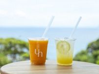 江ノ島の絶景テラスでひとやすみ♪海風が心地よいリゾートカフェ「UMITO café by n.」