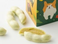 【秋田県】手みやげ13選　ご当地キャラでパッケージも愛らしい素朴なおやつ、調味料や比内地鶏も！