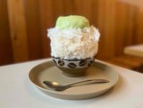 【都内の進化系かき氷8選】イチジクに白みそ、絶品アボカドチーズクリーム…「一度食べるとクセになる」“食事系かき氷”にハマる人が続出中